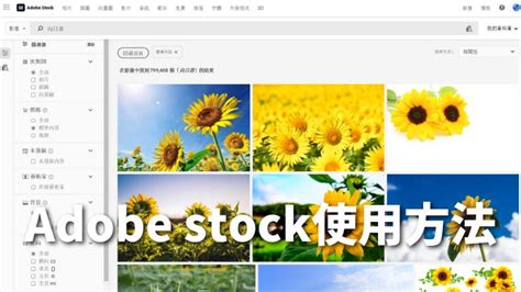 賺錢圖|【簡單】Adobe Stock賣照片 被動收入賺錢的方法公。